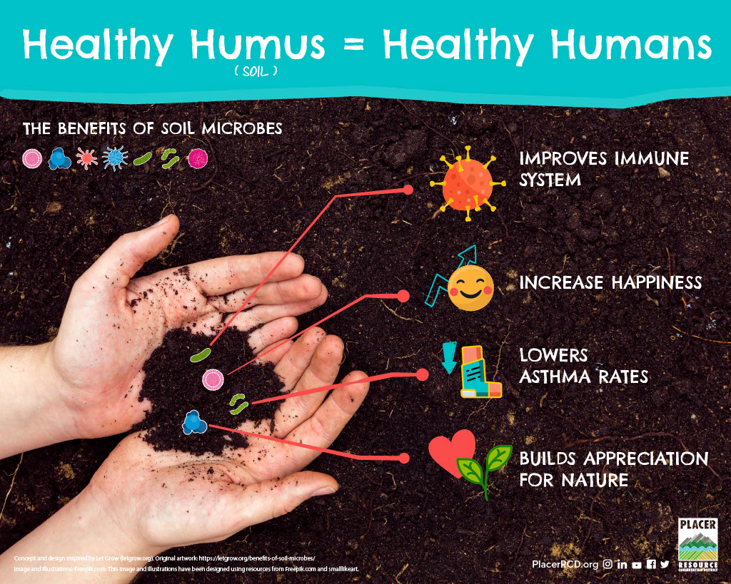 Healthy Humus = Healthy Humans