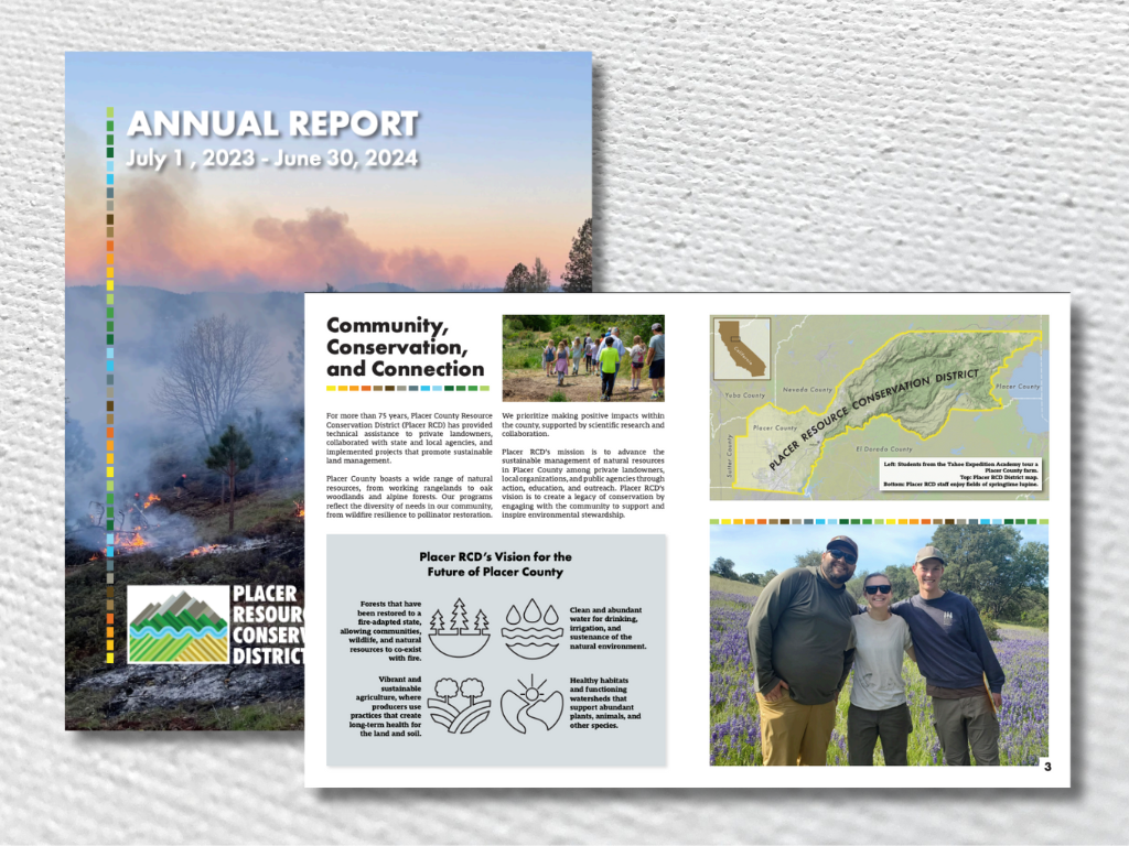 Placer RCD Annual Report