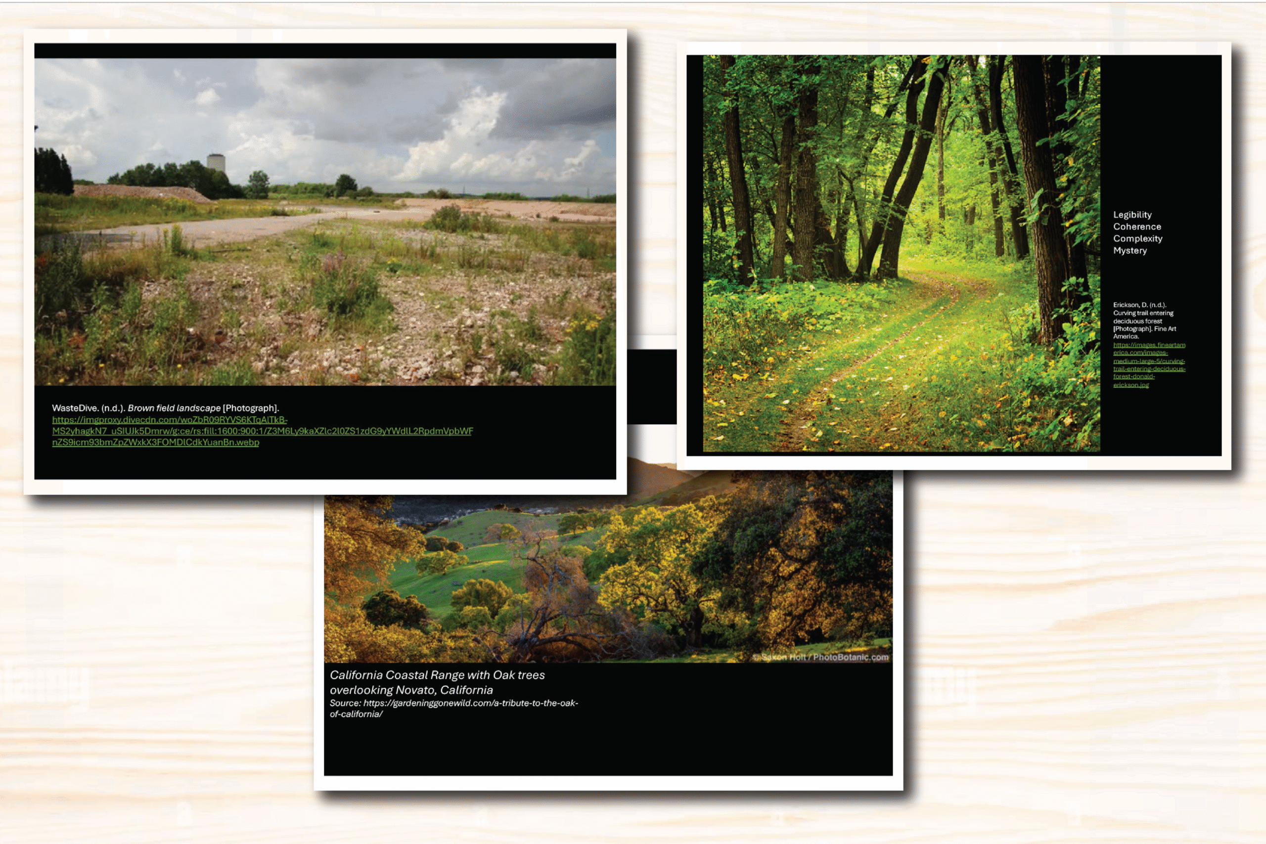 Understanding Landscape Aesthetics for Conservation and Restoration