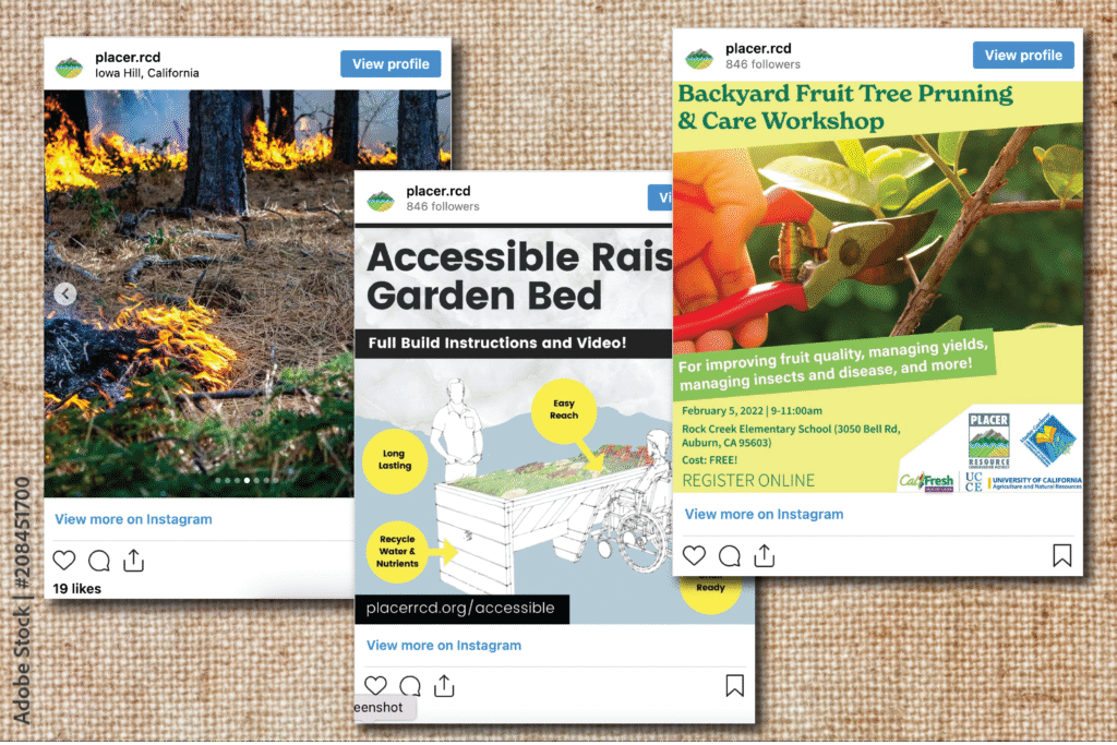 An image of three Instagram social media posts.