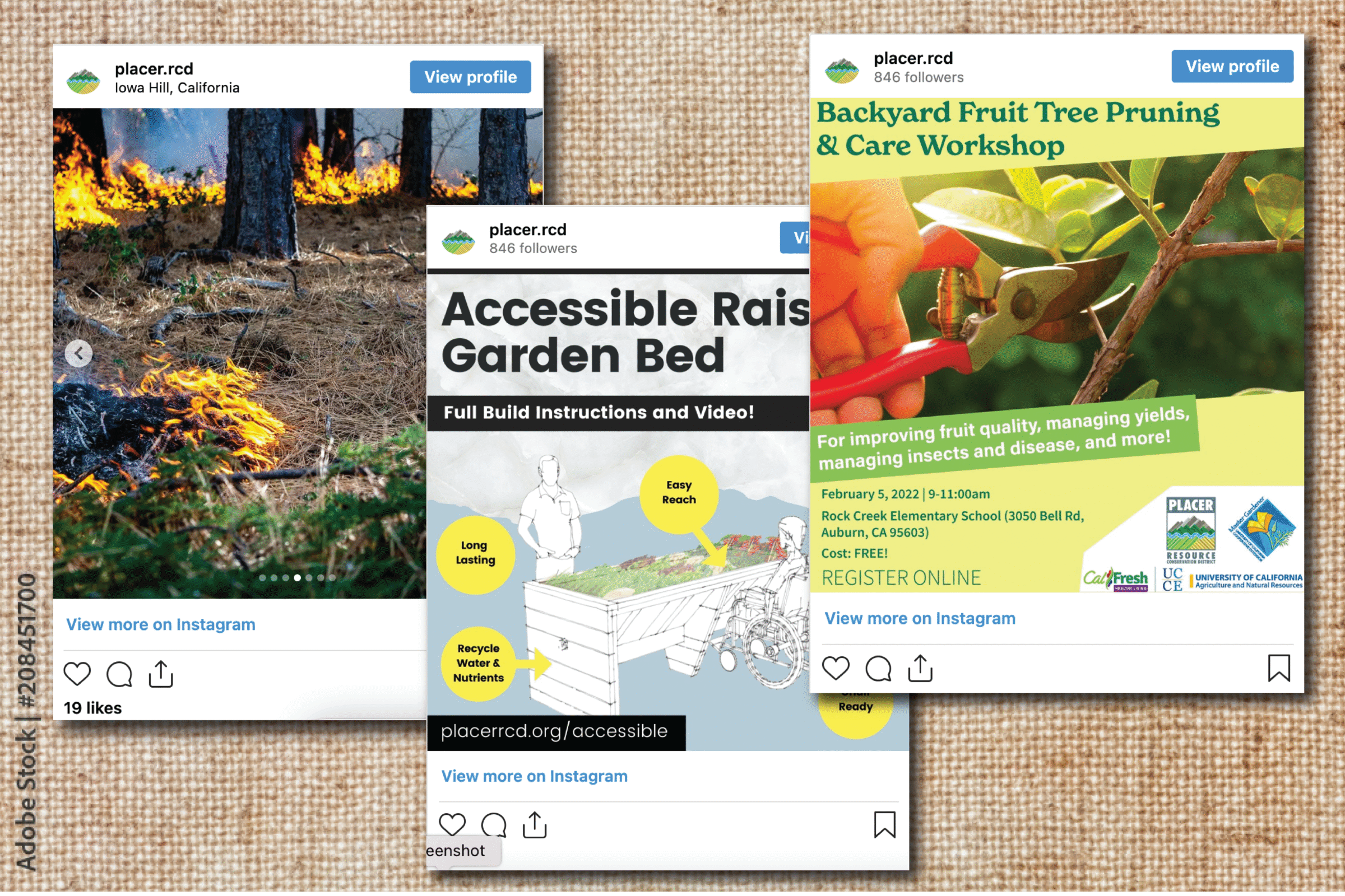 Social Media Samples