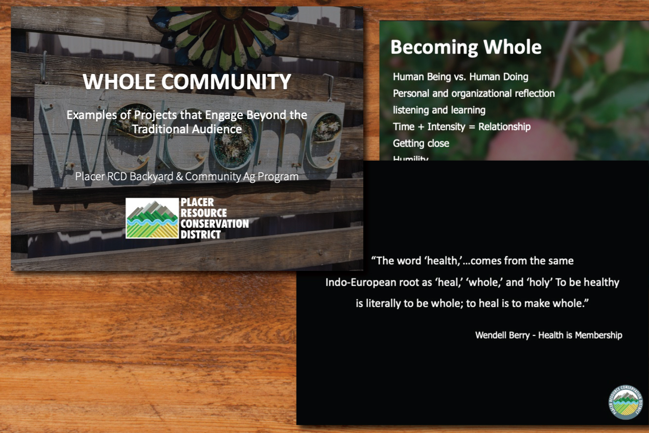 Whole Community: Projects that Engage Beyond the Traditional Audience